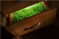 什么是綠色環(huán)保辦公家具？環(huán)保辦公家具標(biāo)準(zhǔn)是什么？